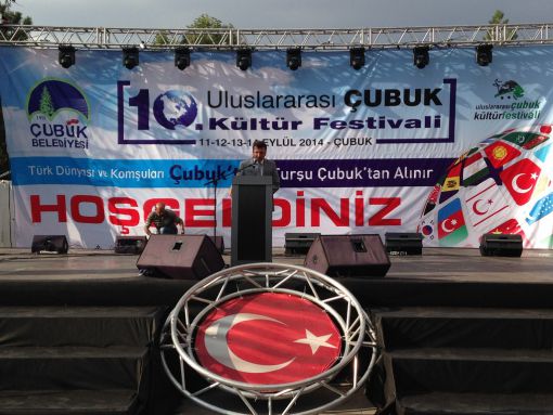    10. Çubuk Turşu ve Kültür Festivali 2014