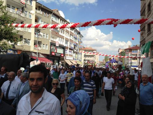    10. Çubuk Turşu ve Kültür Festivali 2014