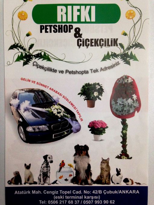  rıfkı çiçekçilik çubuk pet shop